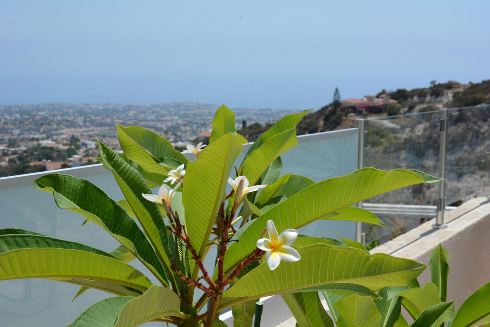 Villa Ocean Breeze Peyia Dış mekan fotoğraf